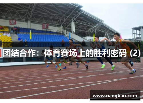 团结合作：体育赛场上的胜利密码 (2)